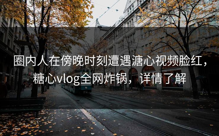 圈内人在傍晚时刻遭遇溏心视频脸红，糖心vlog全网炸锅，详情了解