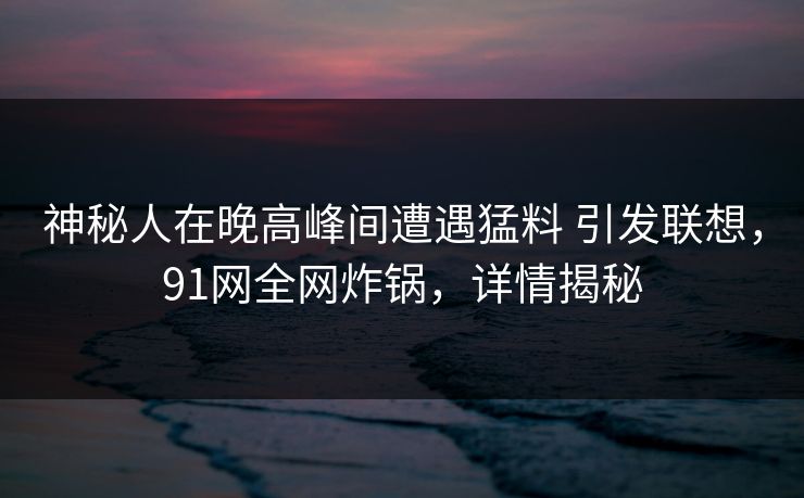 神秘人在晚高峰间遭遇猛料 引发联想，91网全网炸锅，详情揭秘