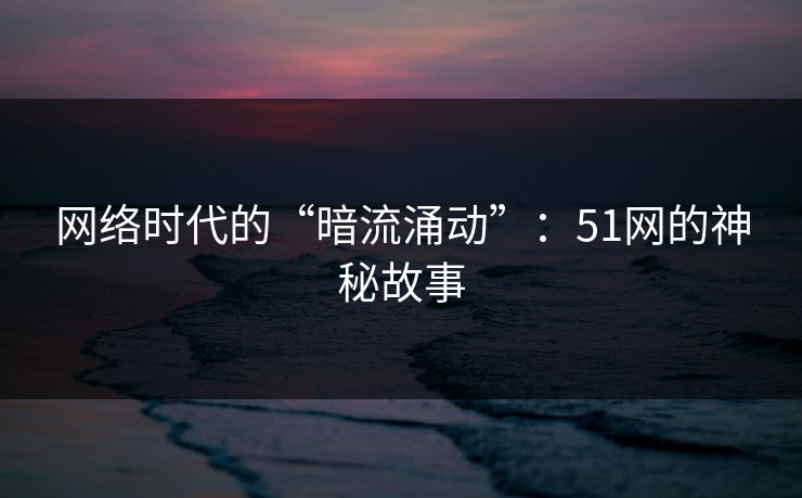 网络时代的“暗流涌动”：51网的神秘故事